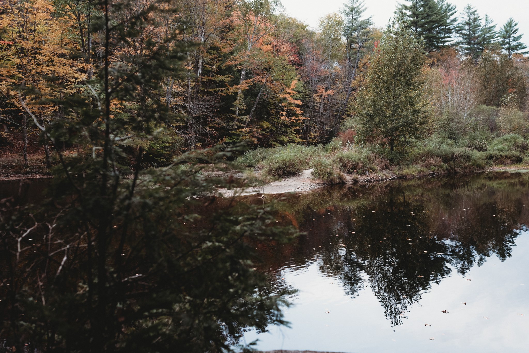 Acadia National Park elopement photographed by a Maine elopement photographer with expertise in coastal weddings, national park permits, and intimate ceremonies
Downeast Maine elopement photography capturing a couple getting married along the rocky c