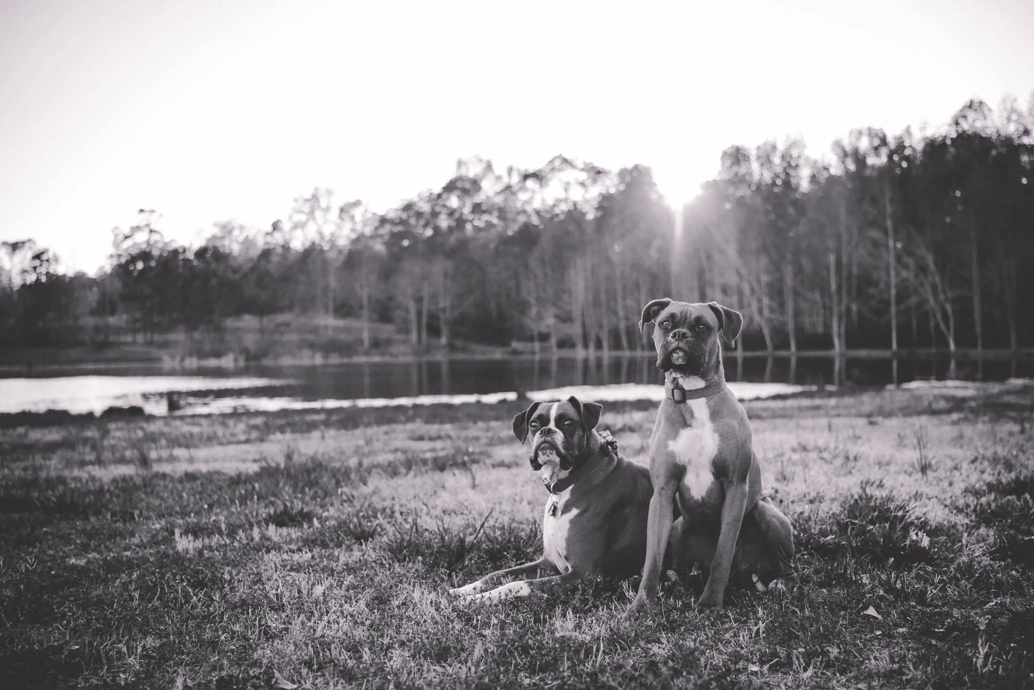 Maine Maternity Photography Rebecca Pinkham Beaux and Arrows New England Boston New Hampshire Photographer Motherhood