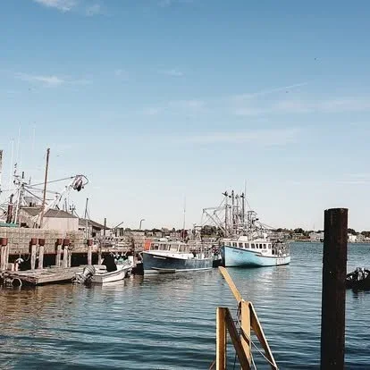 Acadia National Park elopement photographed by a Maine elopement photographer with expertise in coastal weddings, national park permits, and intimate ceremonies
Downeast Maine elopement photography capturing a couple getting married along the rocky c