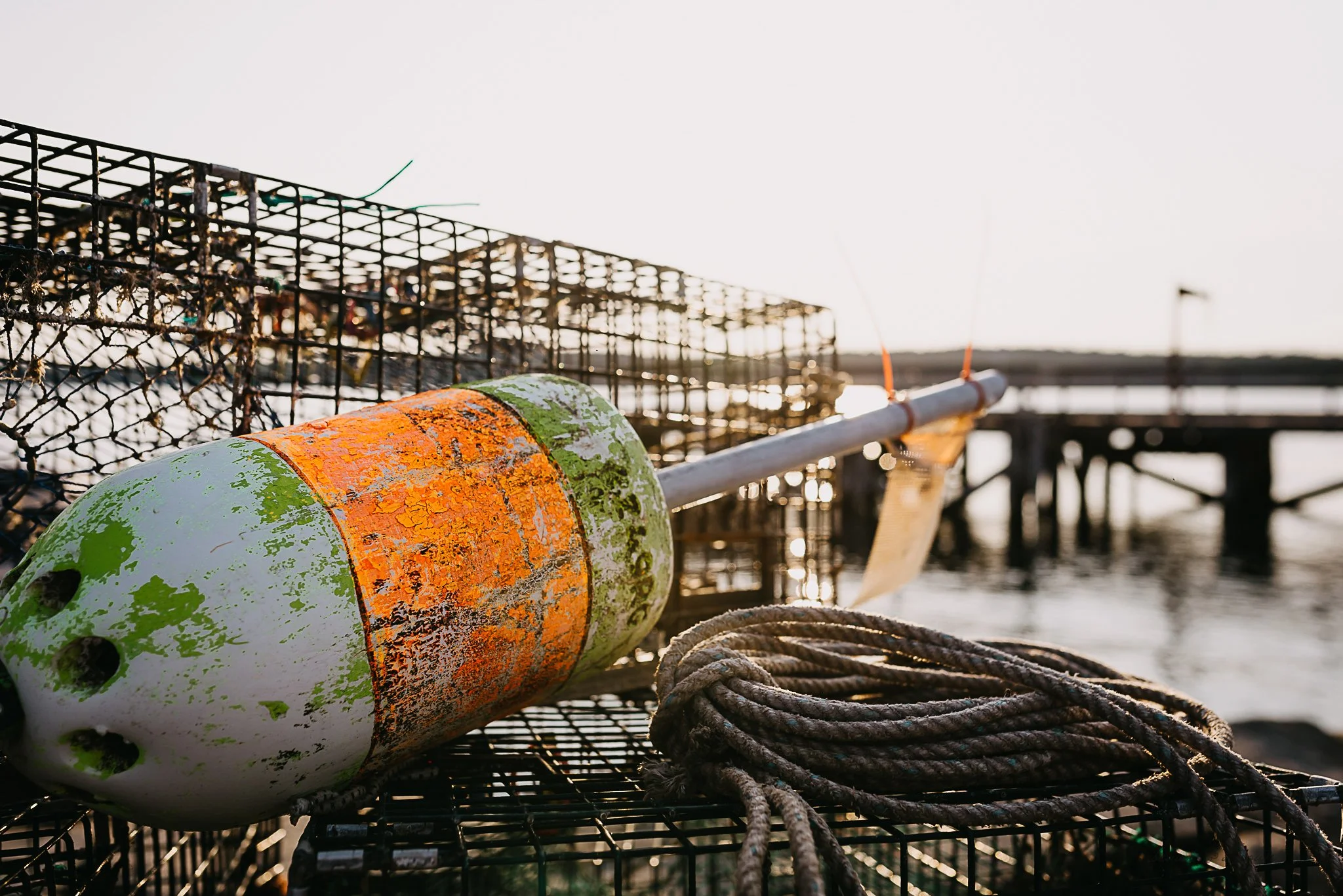 Maine Maternity Photography Rebecca Pinkham Beaux and Arrows New England Boston New Hampshire Photographer Motherhood