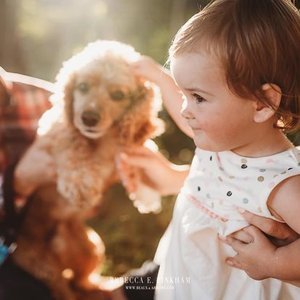 A young girl with brown hair and a white shirt looking at a small, curly-haired puppy being held by someone else outdoors.