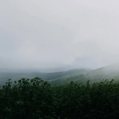 Acadia National Park elopement photographed by a Maine elopement photographer with expertise in coastal weddings, national park permits, and intimate ceremonies
Downeast Maine elopement photography capturing a couple getting married along the rocky c