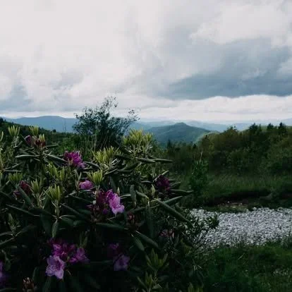 Acadia National Park elopement photographed by a Maine elopement photographer with expertise in coastal weddings, national park permits, and intimate ceremonies
Downeast Maine elopement photography capturing a couple getting married along the rocky c