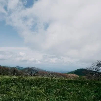 Acadia National Park elopement photographed by a Maine elopement photographer with expertise in coastal weddings, national park permits, and intimate ceremonies
Downeast Maine elopement photography capturing a couple getting married along the rocky c