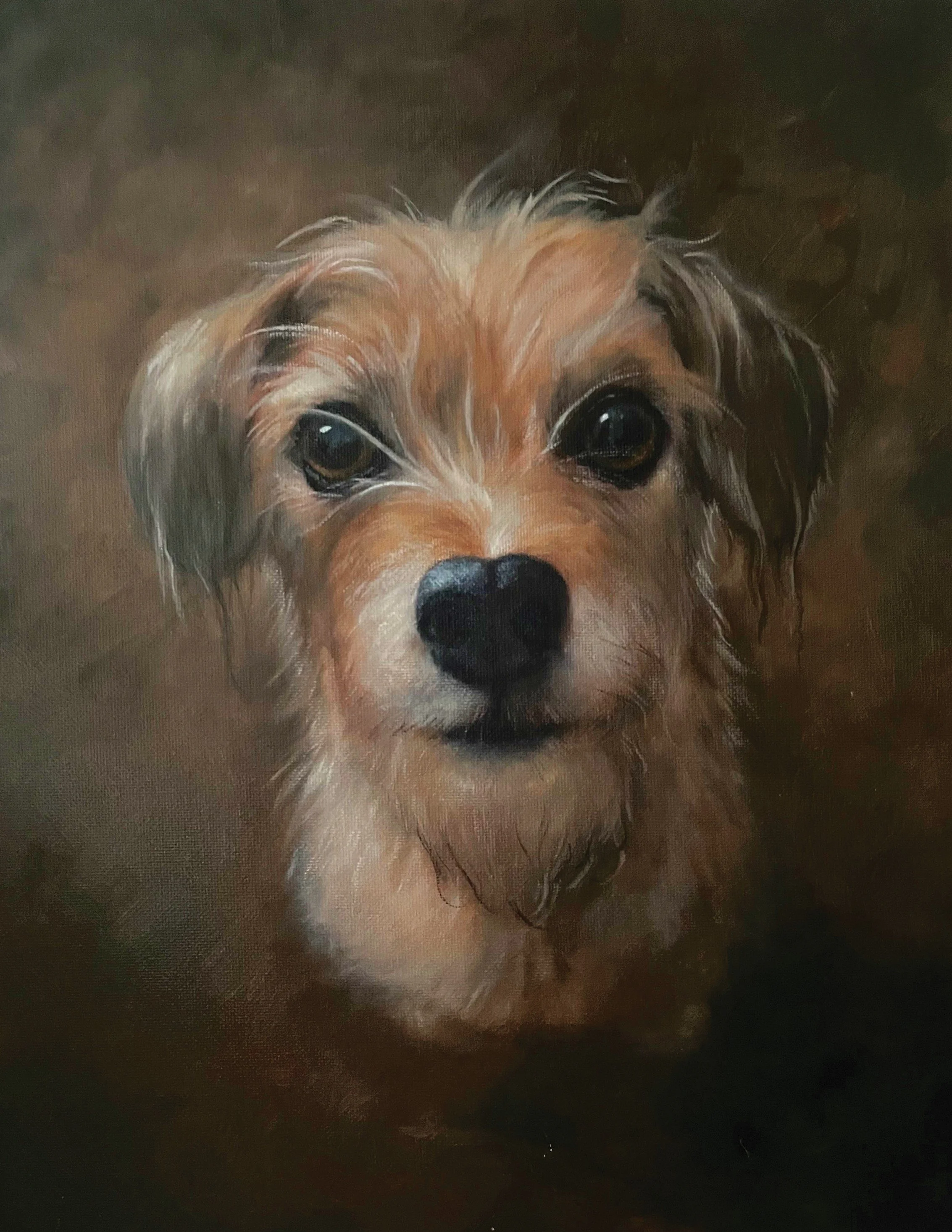 "Maggie" - 11x14 oil on canvas board (6 hr study)