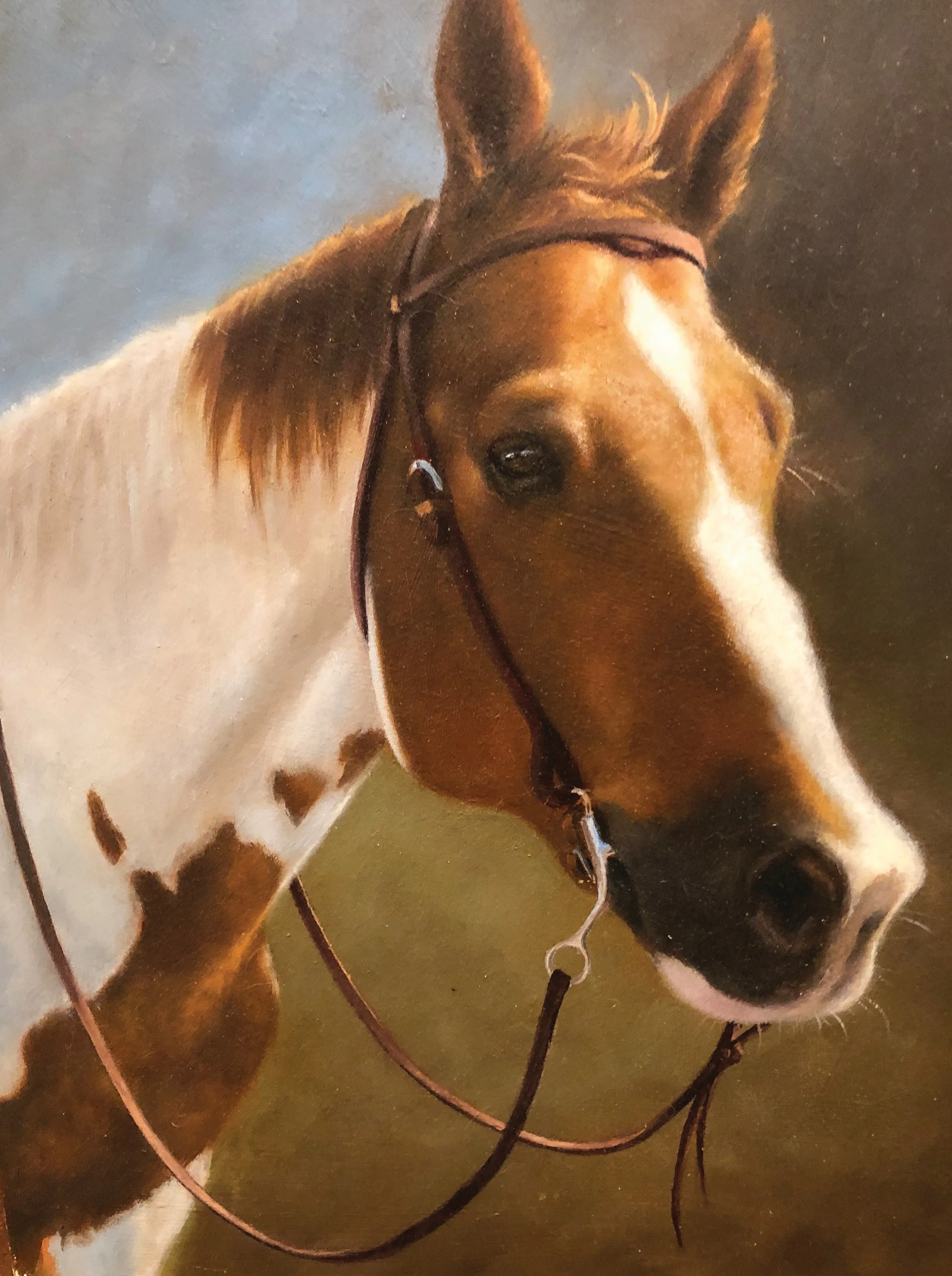 "Bravo", 12x16 oil on wooden board (6 hr study)