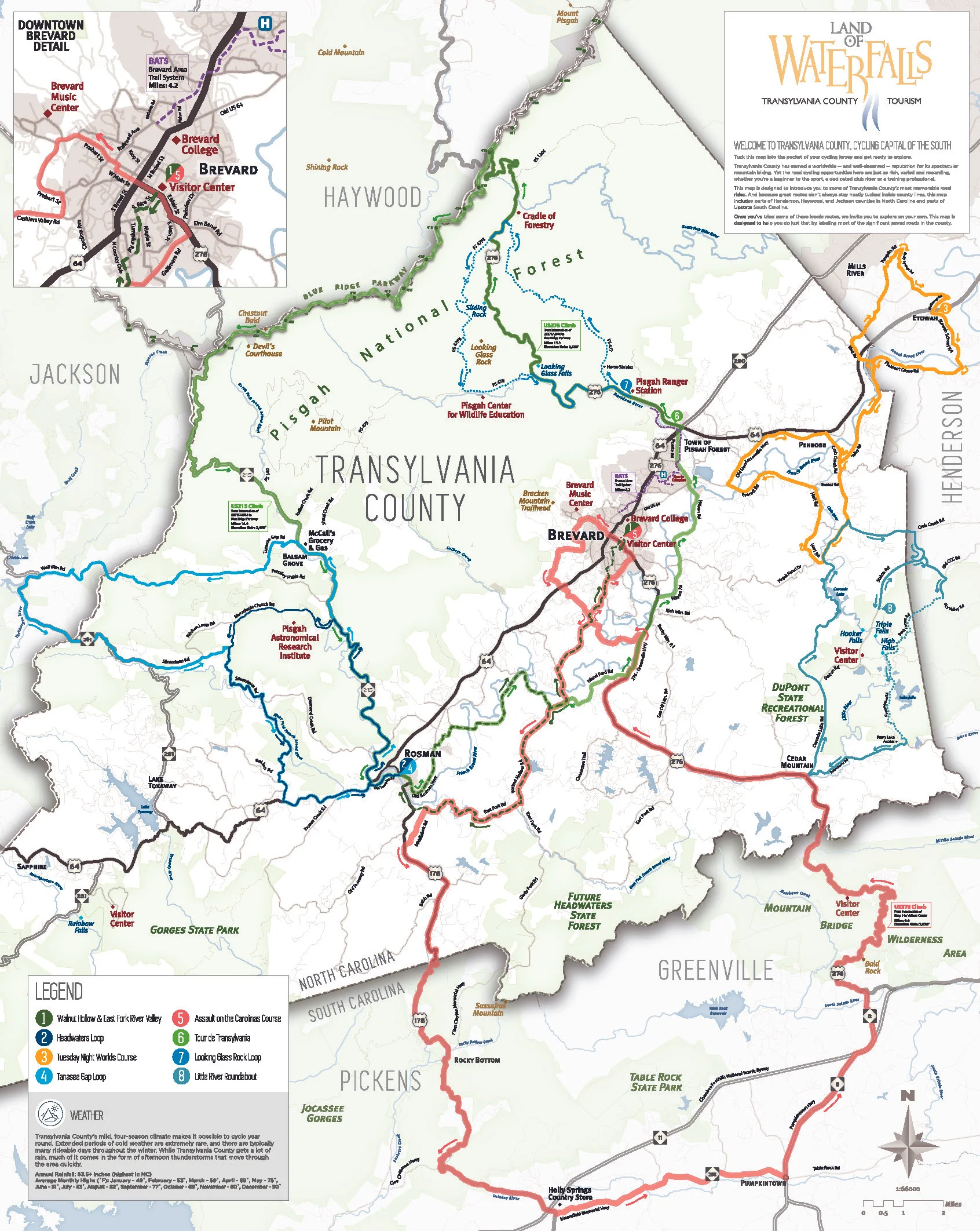 Trans_Cycling 24x30-Final.jpg