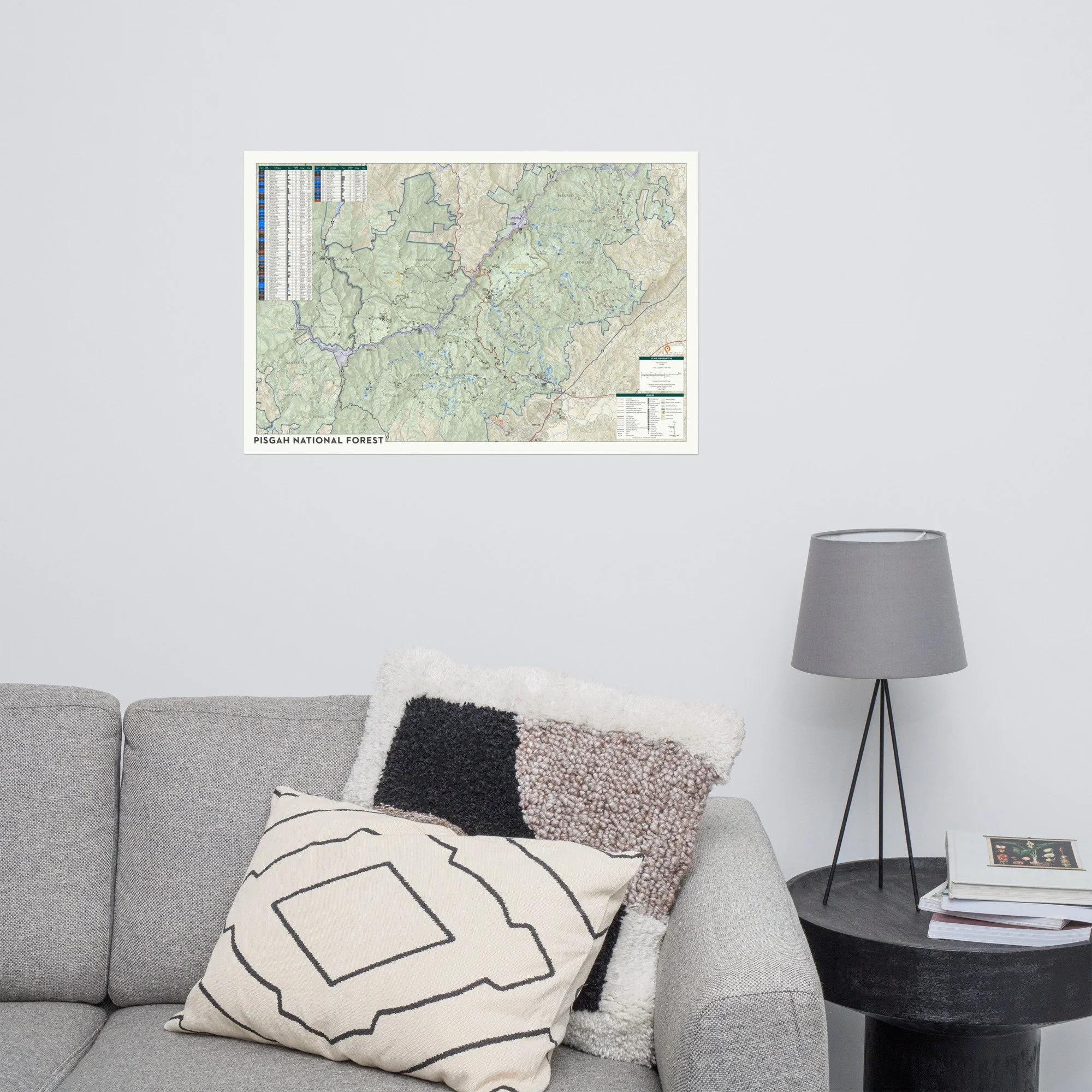 DuPont State Recreational Forest Wall Map — Pisgah Map Co.