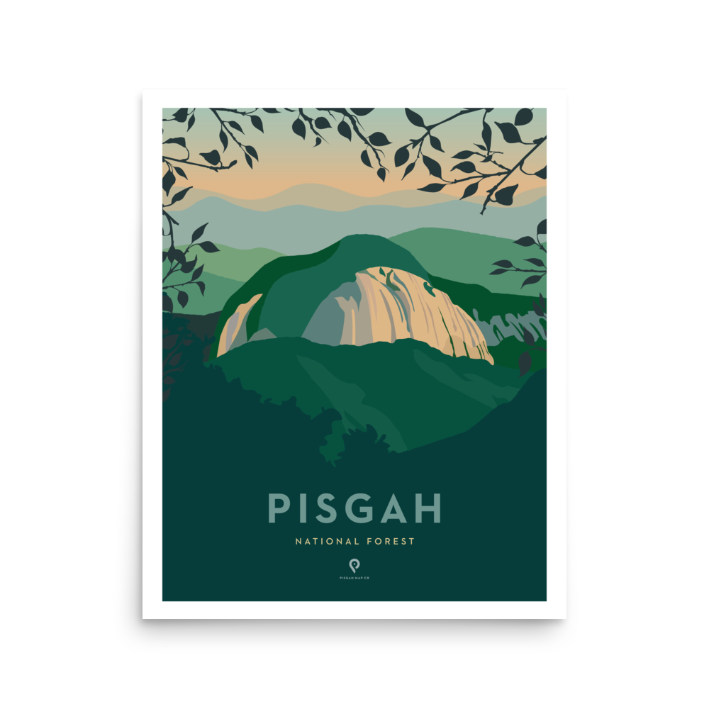 enhanced-matte-paper-poster-(in)-16x20-front-67ec29a0ec8c5.png