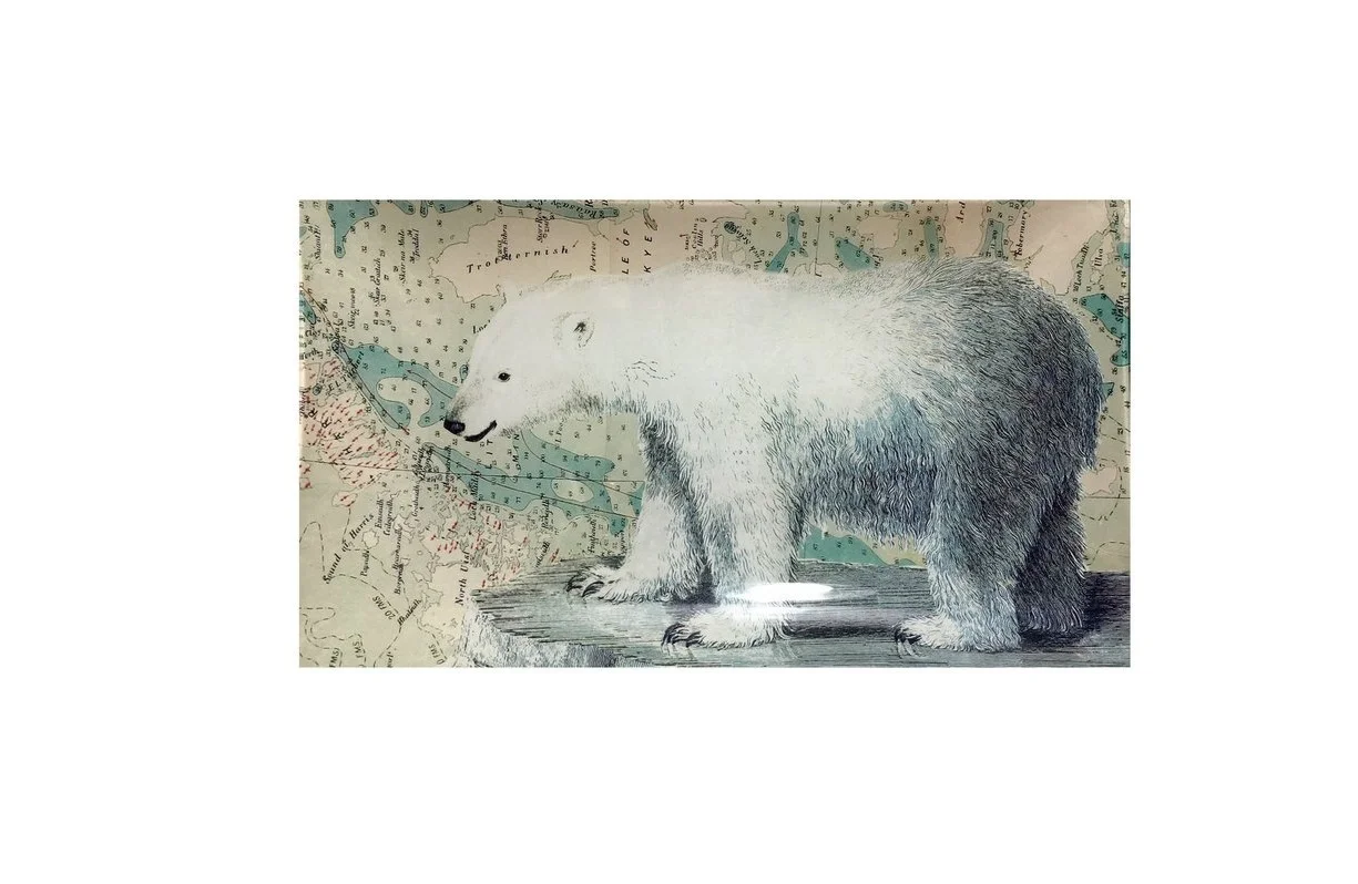 polar.jpg