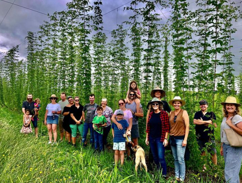 Hop tours