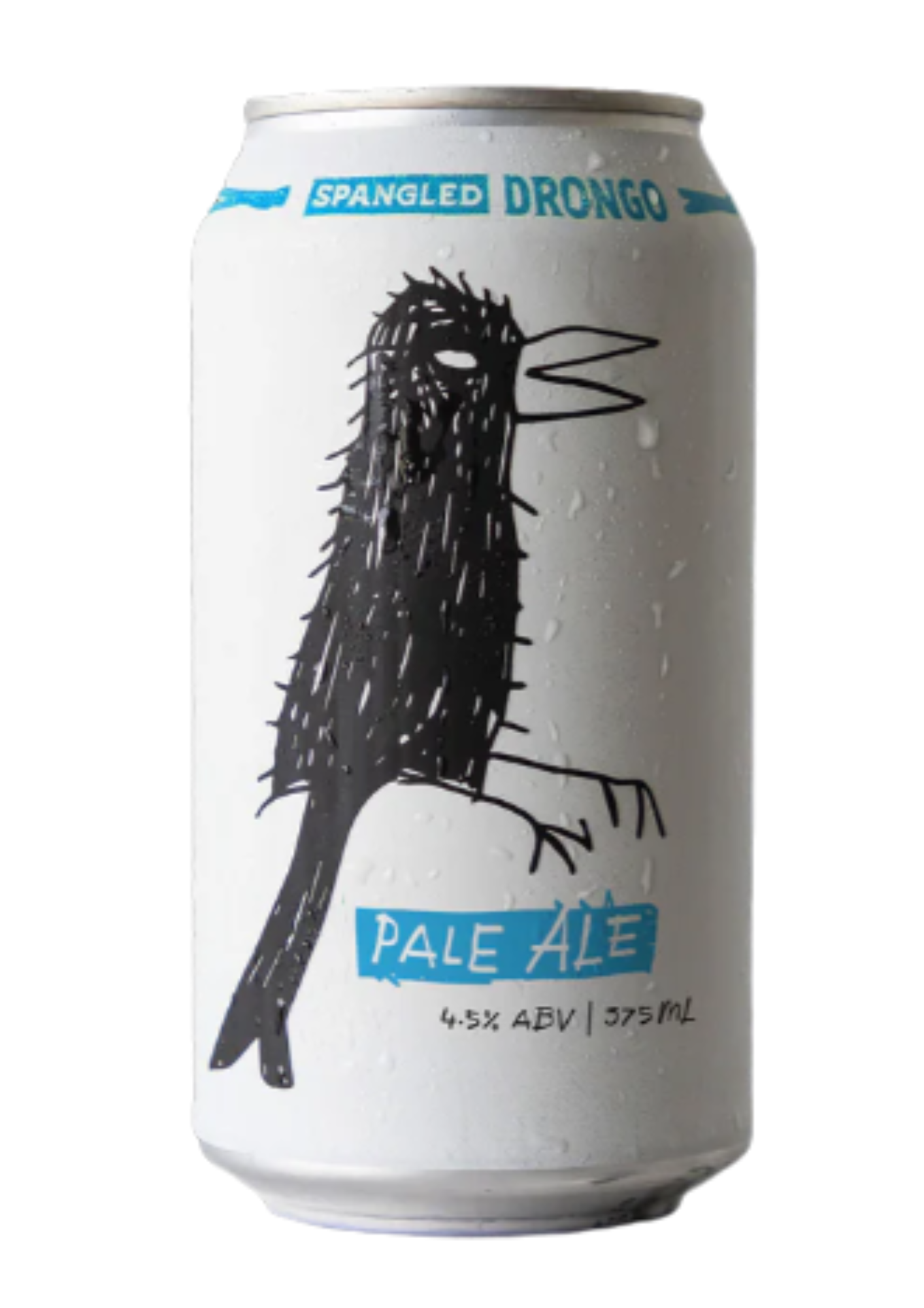 Sprangled drongo.png