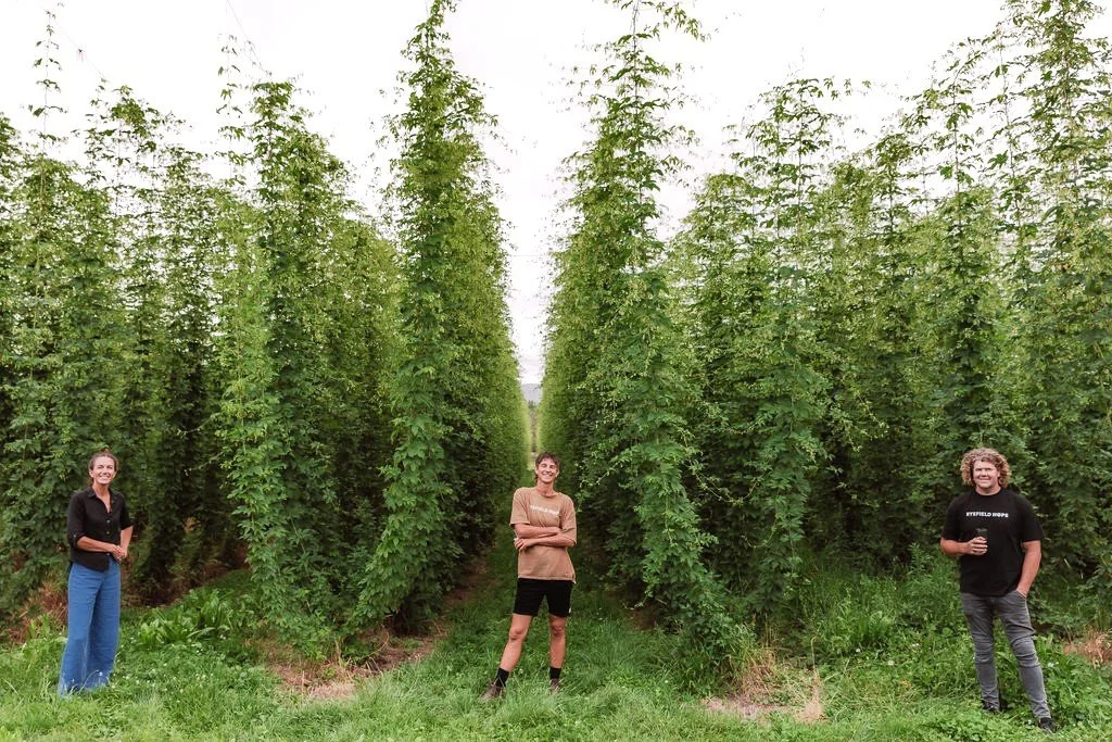 Ryefield Hops 2025.JPG