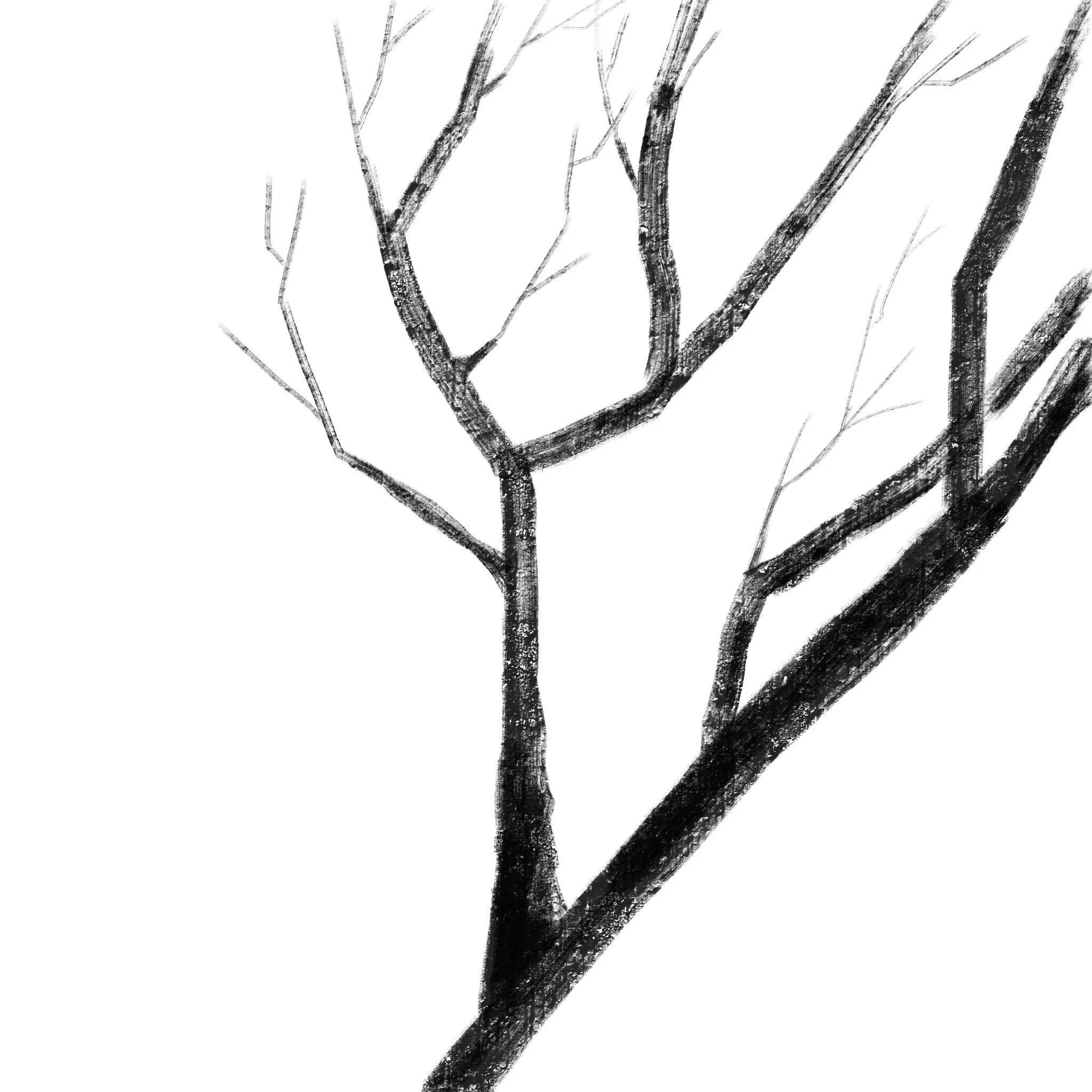 Untitled_Artwork-1.jpg