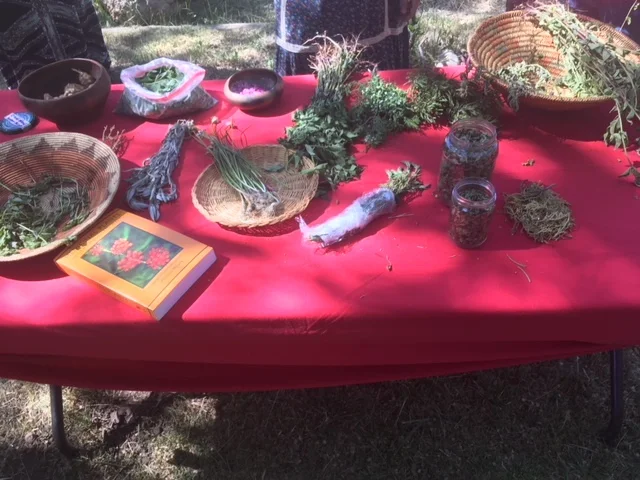 herbs+henrietta.jpg