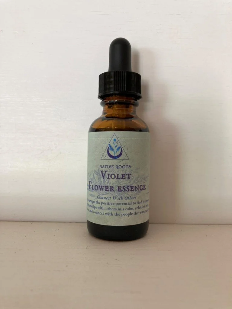 Violet Flower Essence — Native Roots HealingAncestral Folk and Herbal