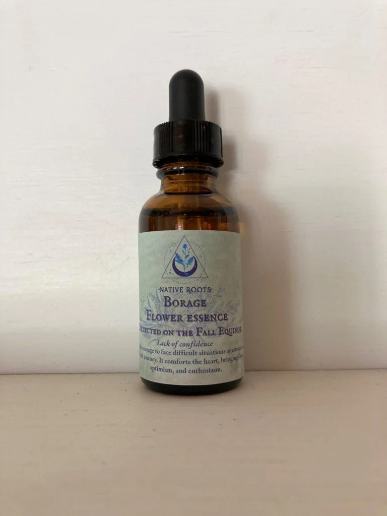 Borage Flower essence — Native Roots HealingAncestral Folk and Herbal