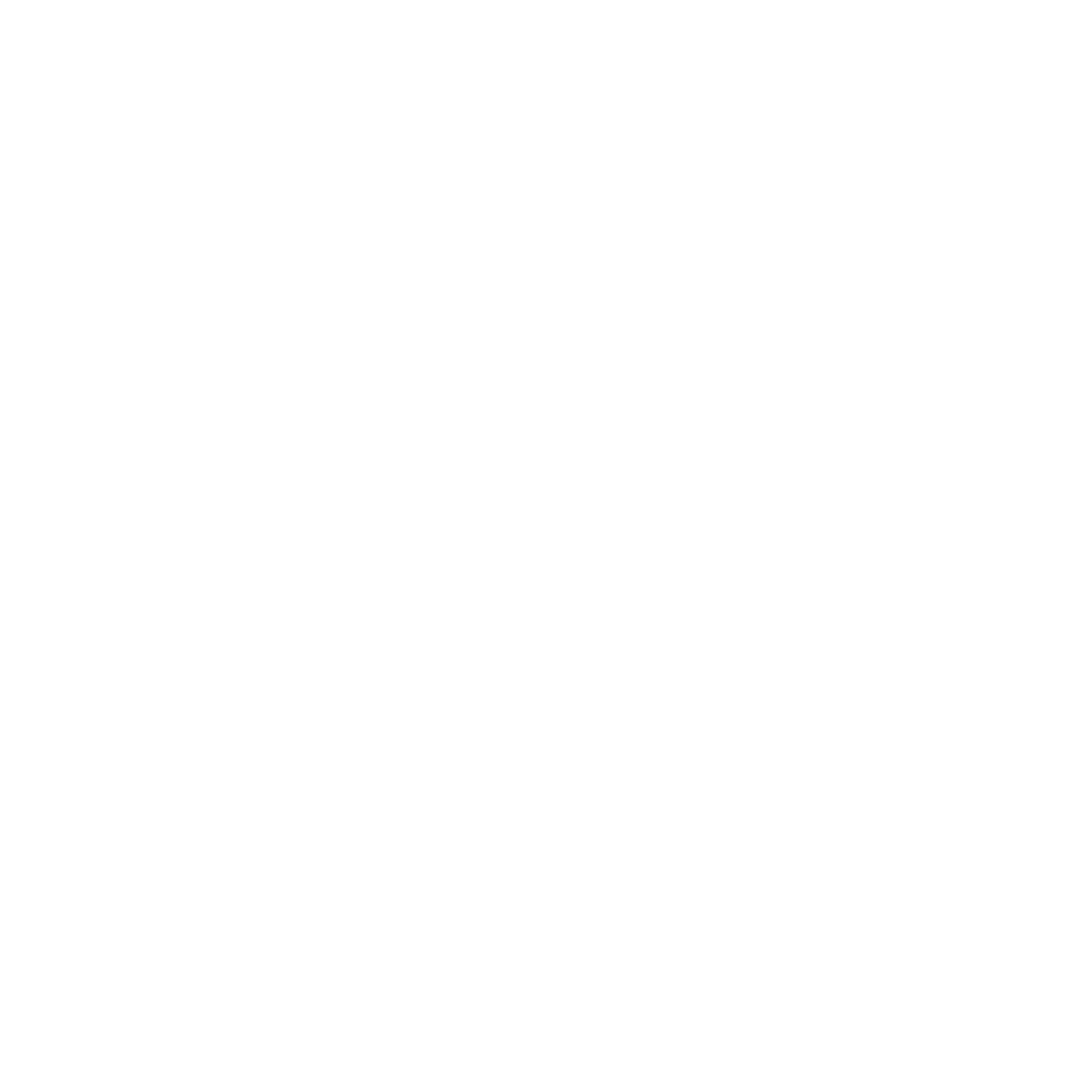 VP Youth