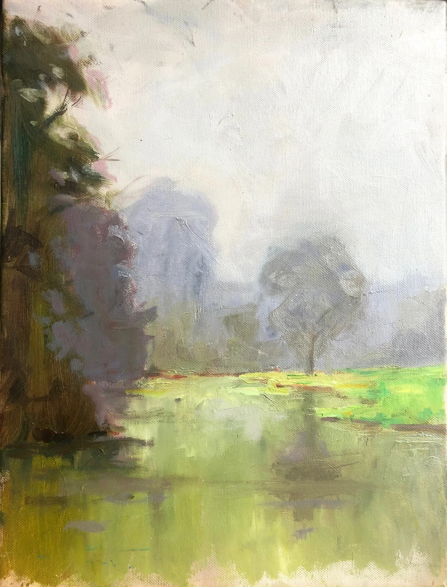 BAYOU BLACK, FOGGY DAY