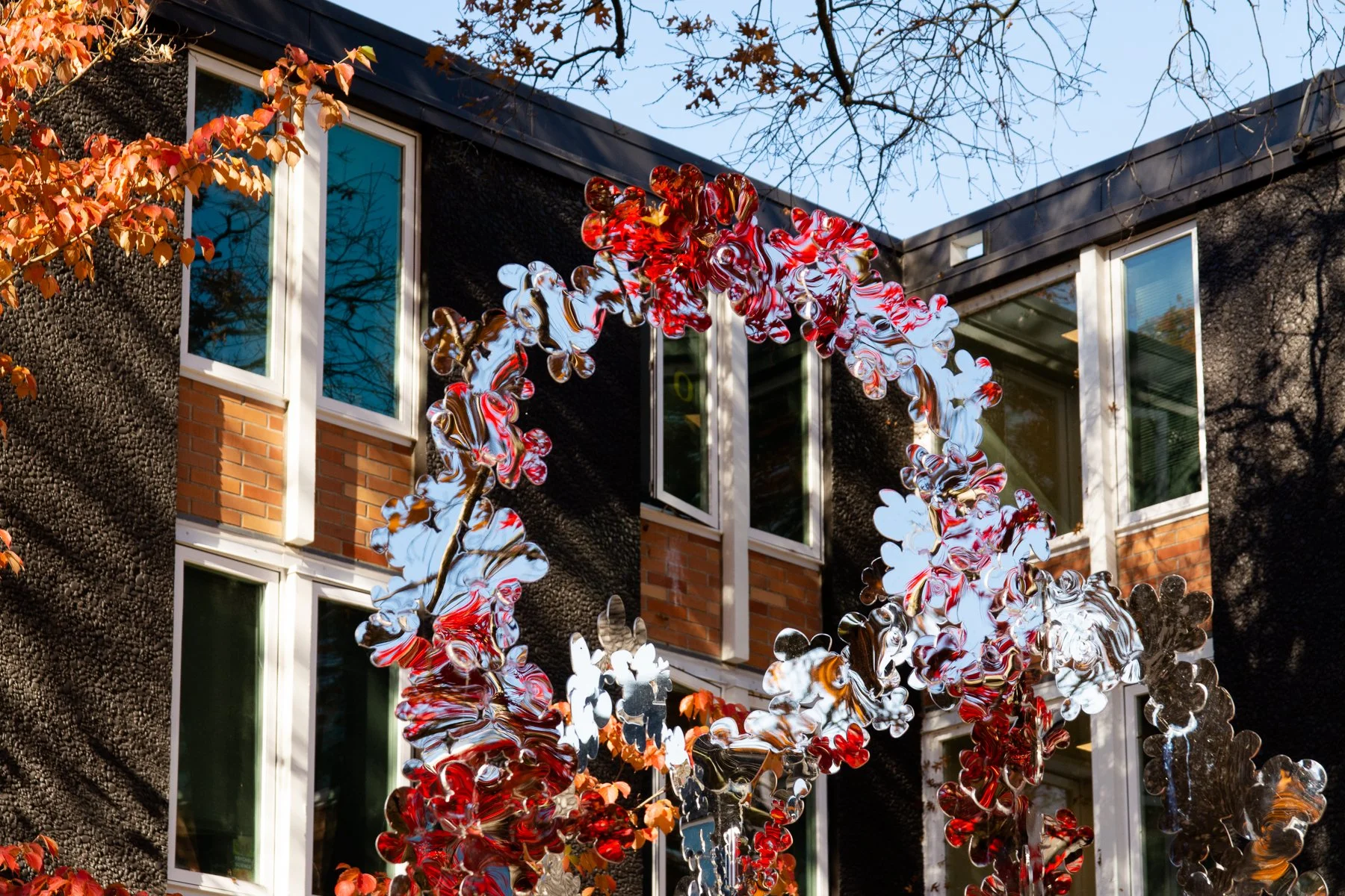 Weeping fall detail.jpeg