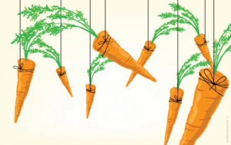Carrots .jpg