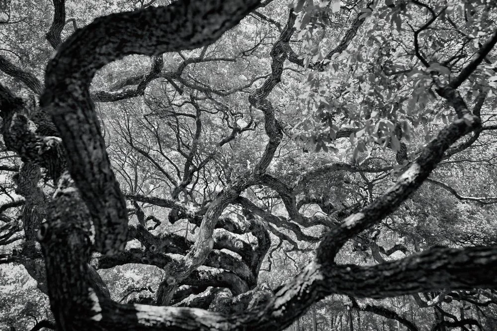 BG Reads | News You Need to Know (February 15, 2022)    