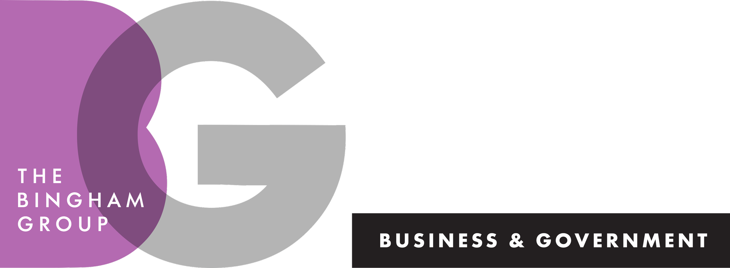 Logo of The Bingham Group with purple and gray overlapping circles, and text that reads 'The Bingham Group Business & Government'.