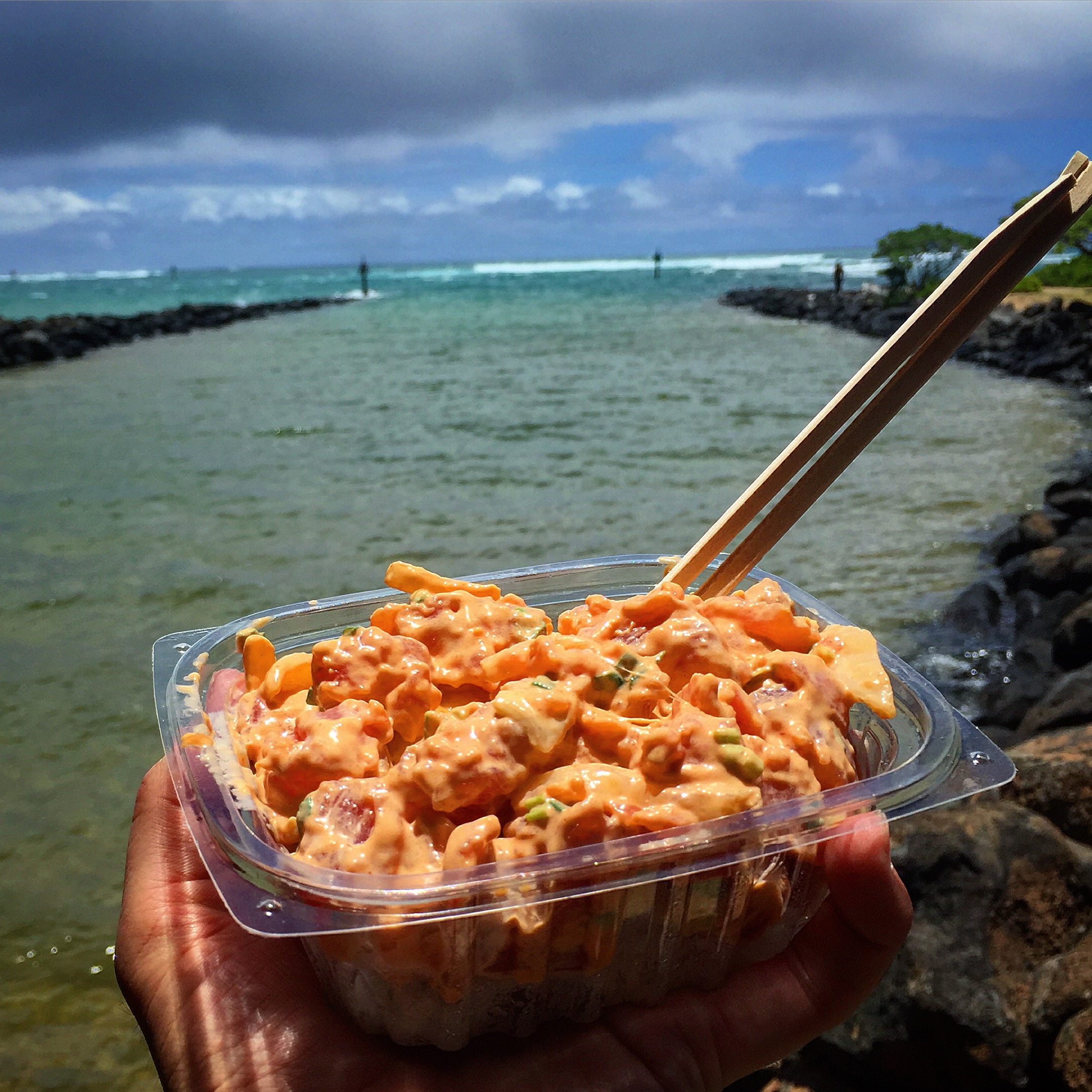 Poke_with a view.JPG