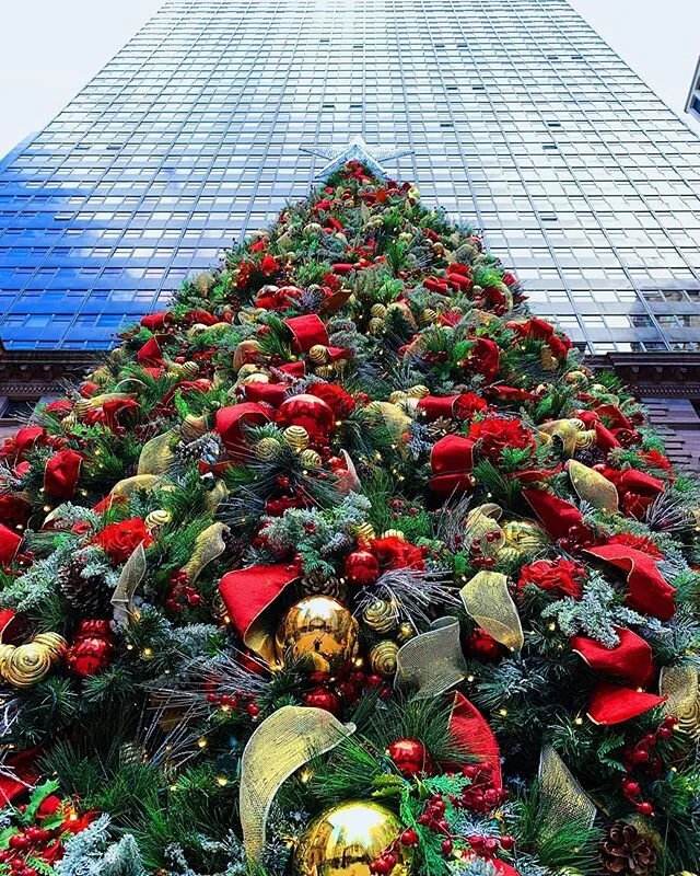 Merry Christmas 🎁🎄⠀
⠀
#TravelEatRepeat⠀
⠀
⠀
⠀
⠀
________________________________________⠀
⠀
#ericexplores #newyork #newyorkcity #nyc #nycguide #travel #travelblog #newyorker #travelblogger #traveldiary #ignewyork #ignyc #passionpassport #livetotrav