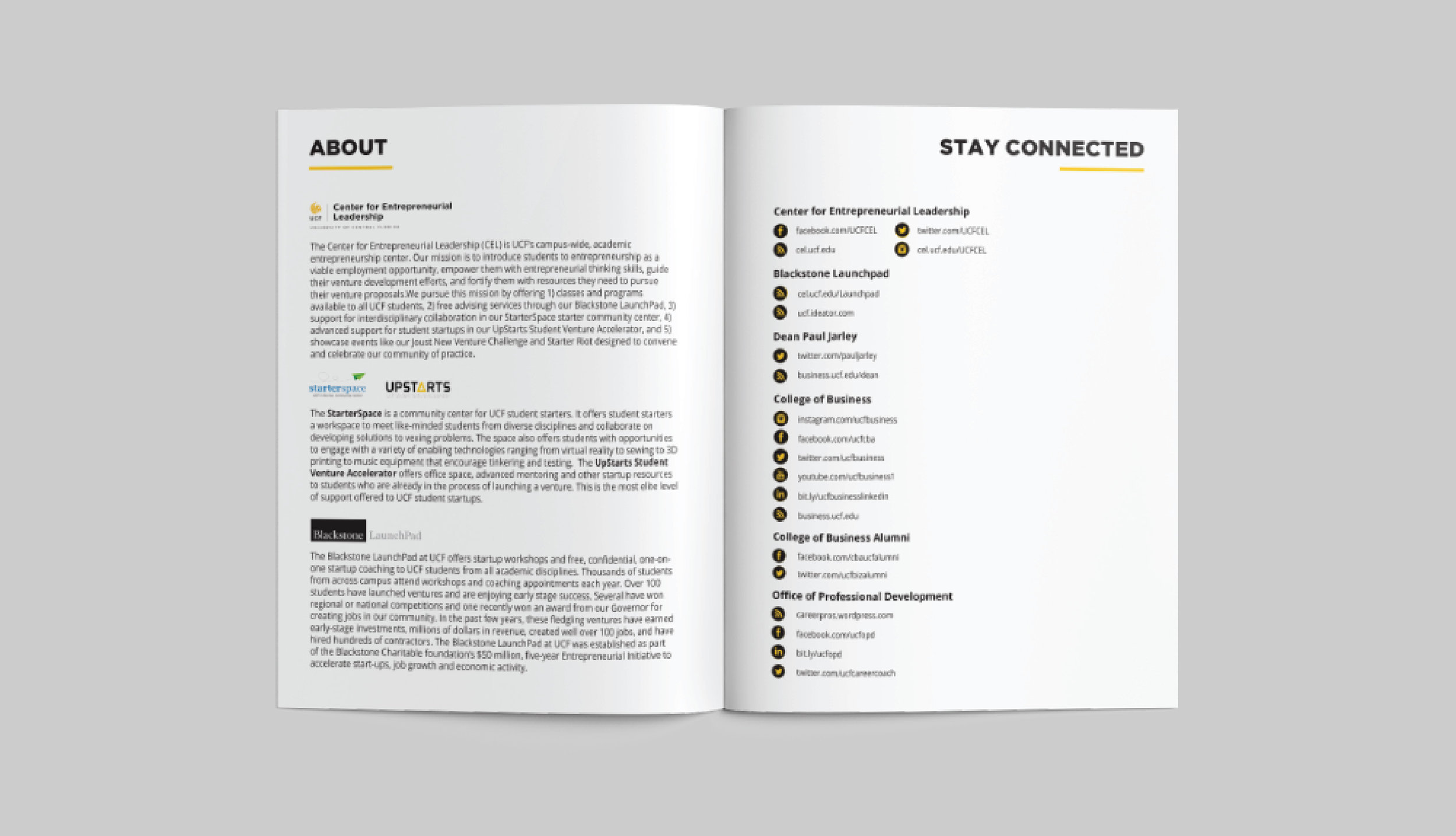 Joust_Booklet_Page4.jpg