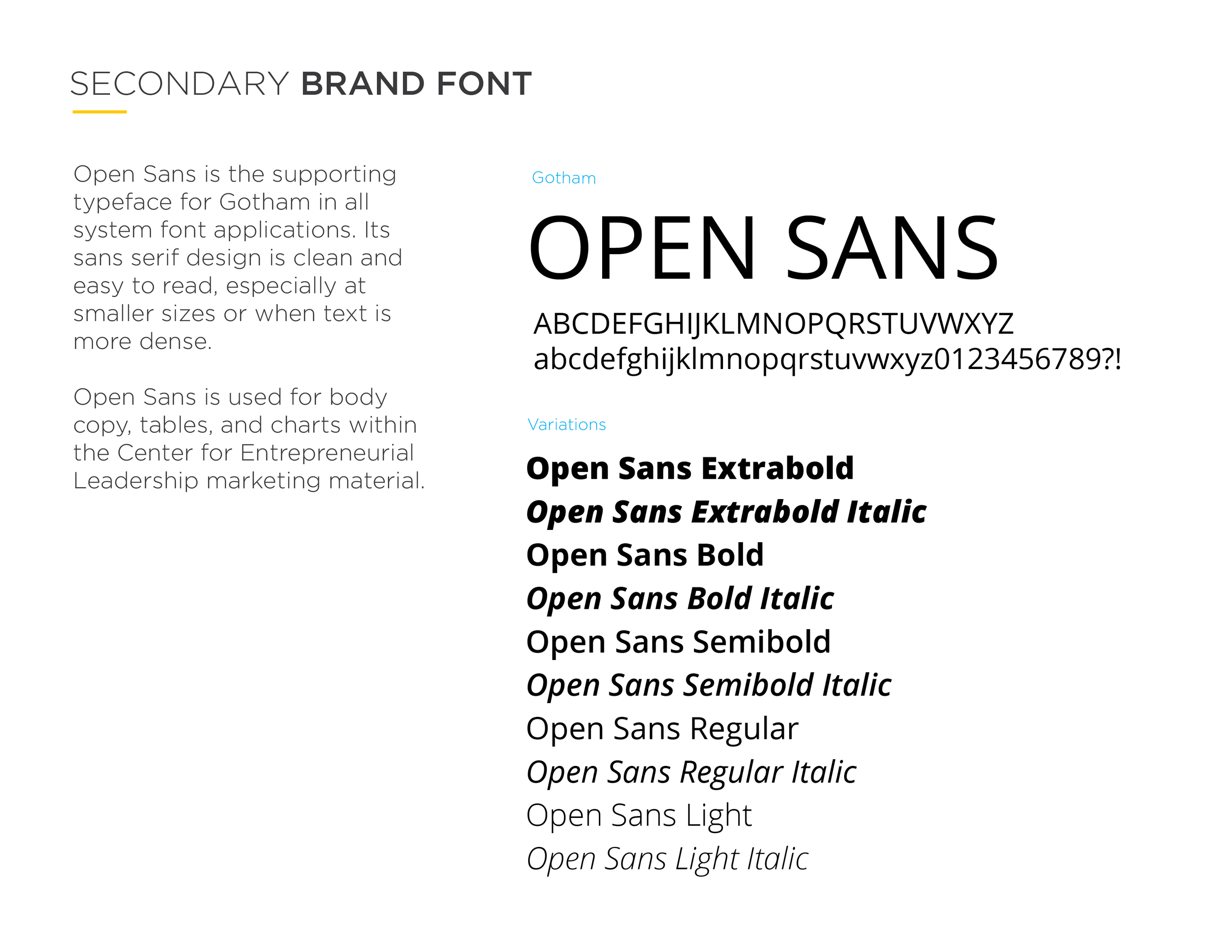 CEL_BrandStandards_v-17.png