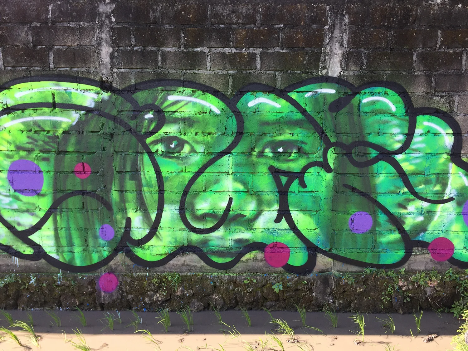 gus-eagleton-2017-Canggu-Bali-Indonesia-4.jpg