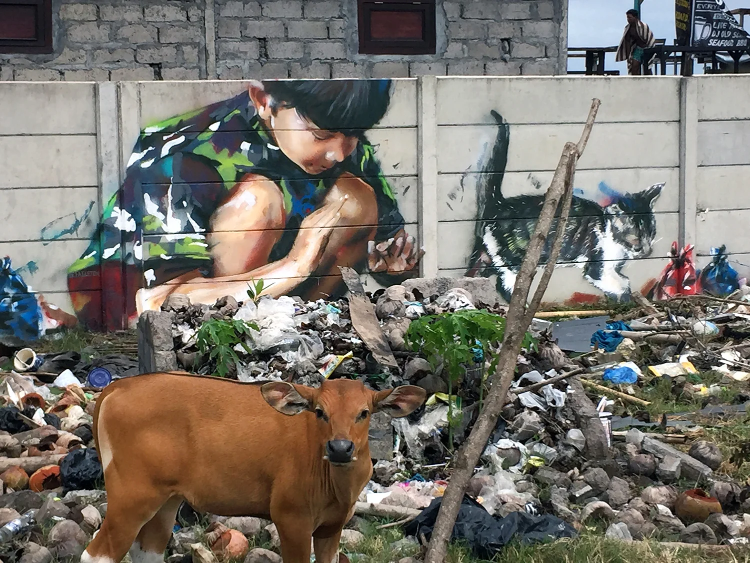 gus-eagleton-2017-Canggu-Bali-Indonesia.jpg
