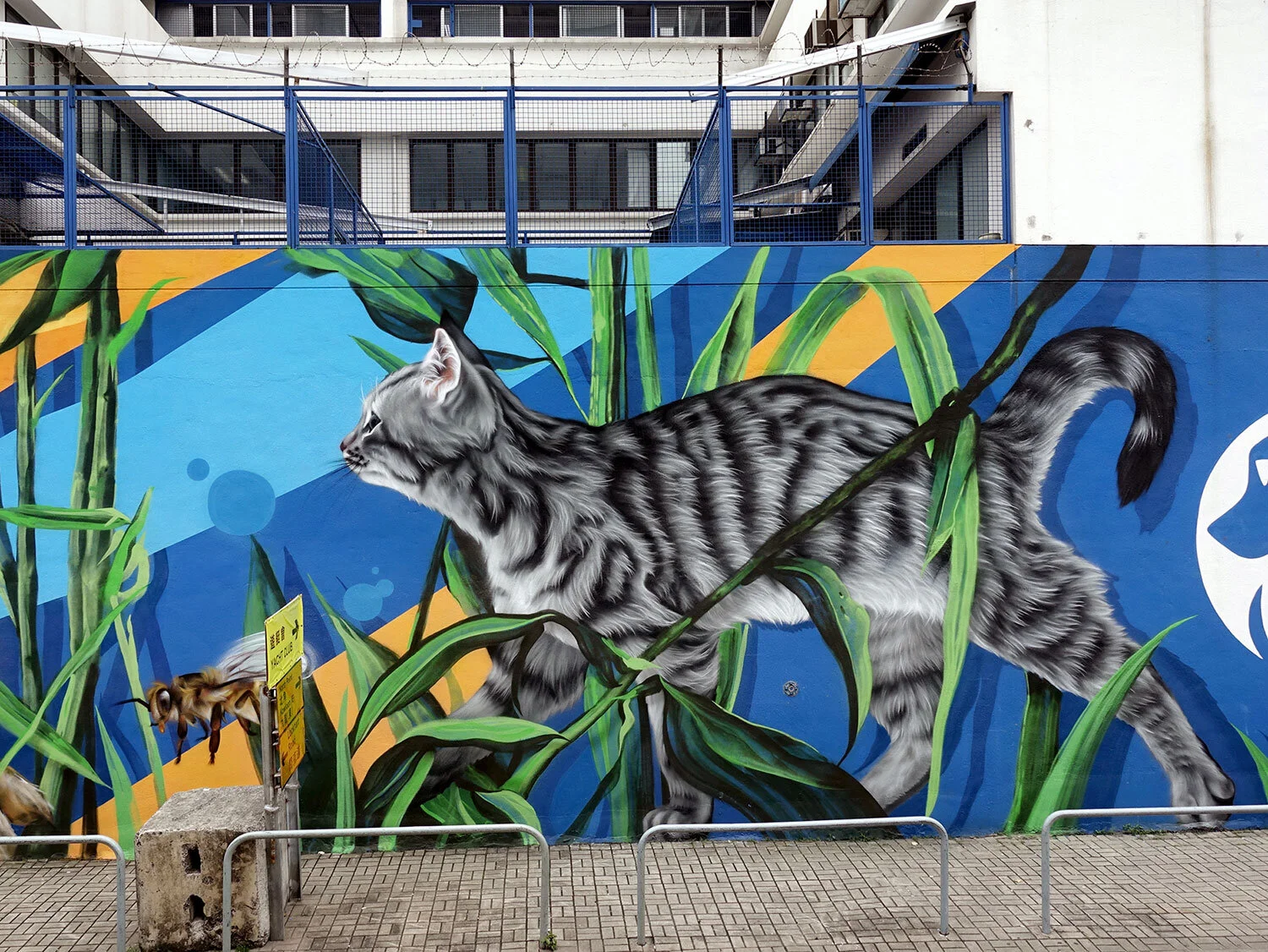 SPCA 2019 a collaboration with Joker 