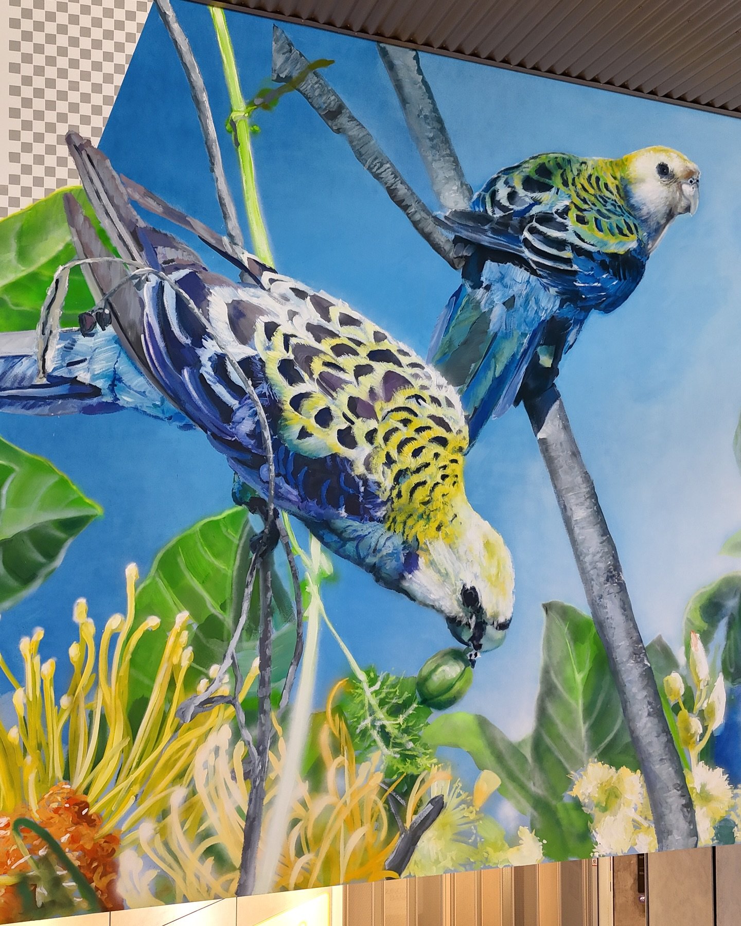 &lsquo;In your backyard&rsquo; This piece features the Pale-headed Rosella one pf my favourites, the vibrant blues, yellows, and aquas echo the subtropical hues of the northern suburbs of the Gold Coast. The composition intertwines native blooms, lea