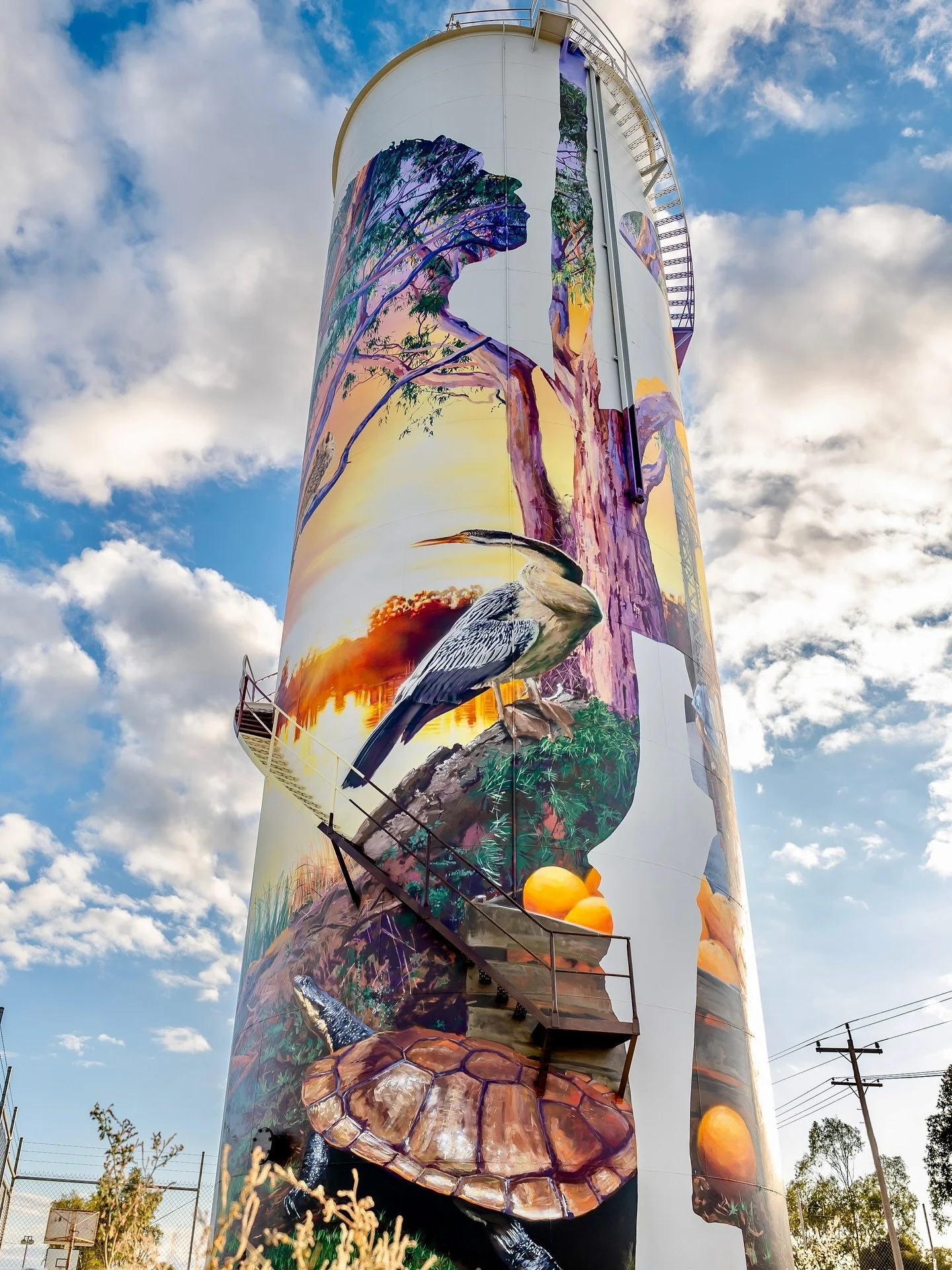 &lsquo;Up at Dawn&rsquo; my piece for the River Country Art Trail in Barham NSW.

Thanks to @formwa, @pam_perth, the local stakeholders and @aleja_hine for assisting me on this massive project. shout out to @mitchell.barkman.videography for the photo