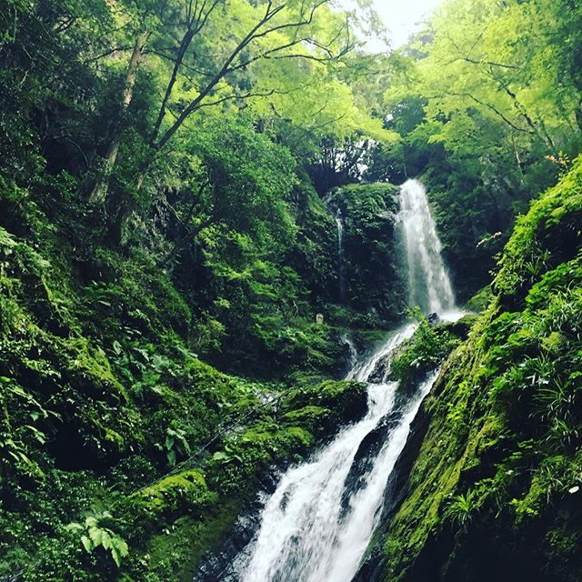 夏休み最後は徳島県神山町に行ってきました。高知市から車で約2時間半。

約800Mのトレッキングで到着する日本の滝百選に選ばれた &rdquo;雨乞いの滝&rdquo; へ。

美しく壮大な景色にしばし見とれつつ、身体の中の酸素を入れ替えるように深呼吸。

思い立ったら大自然へドライブ。四国・高知の楽しみは奥深い。

#renovation #kochilife #kochi #kagamiriver #shareandgrow #sharegrow #高知市 #高知 #高知暮らし #リノベーシ