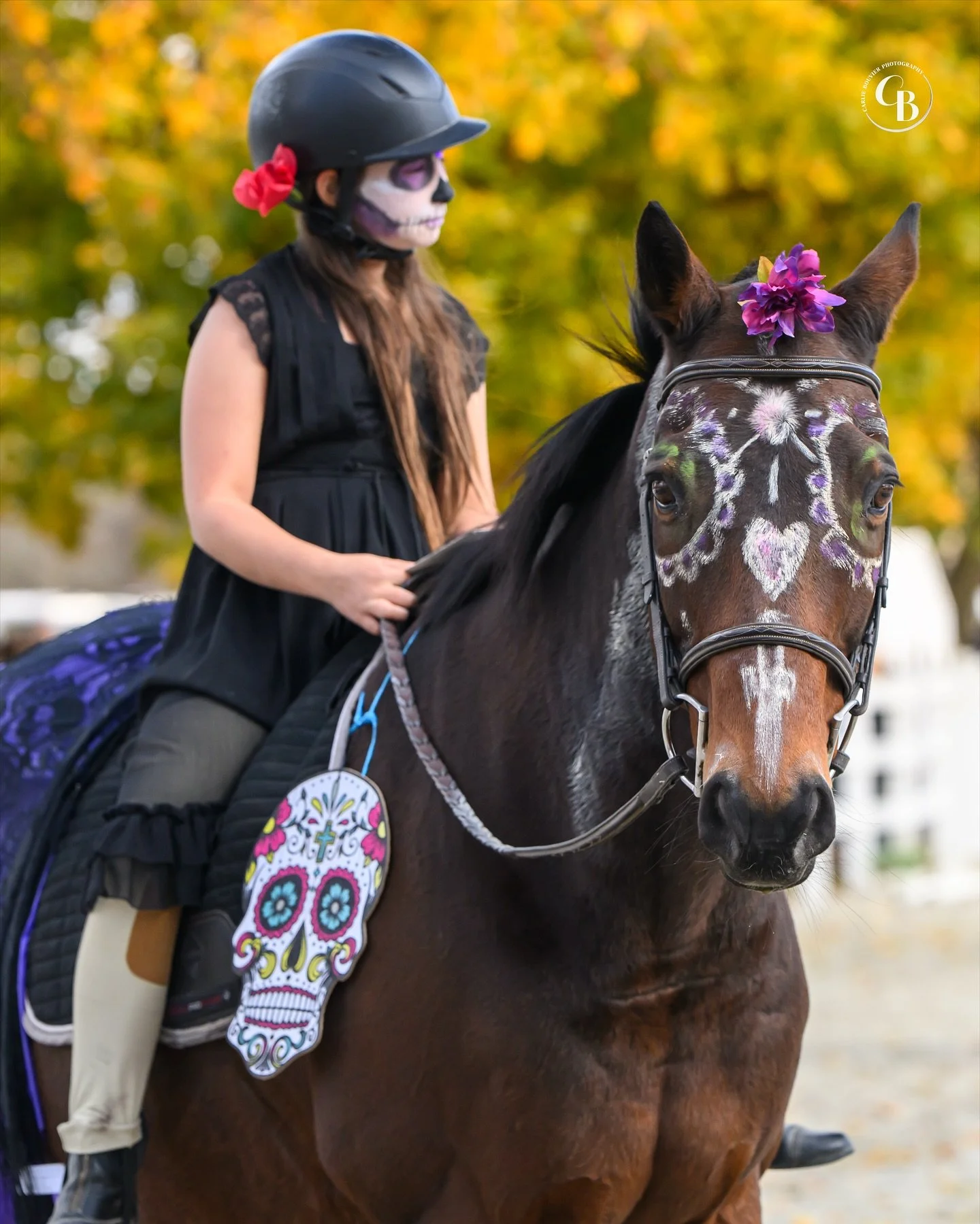 Riders and horses showed up ready to impress with their costumes at The Sussex County Benefit Halloween Horse Show. Grateful I got to capture all of the fun throughout the weekend. Thank you @njscfhs for having me! 📸🧡