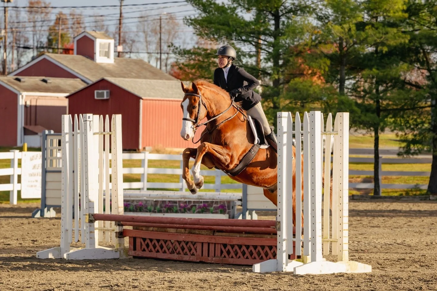 Private Horse Show Coverage Spotlight ✨ 

Alice with her two horses, Baccarat Rouge and Manhattan in May Luna, at The Sussex County Horse Show.