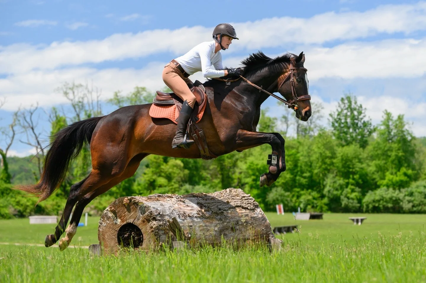 Morghan &amp; Helios ☀️