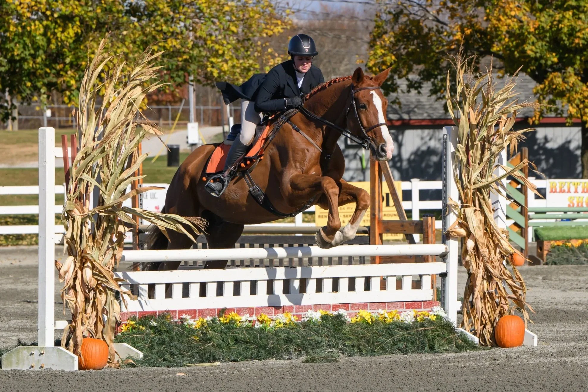 Sussex County Benefit Series