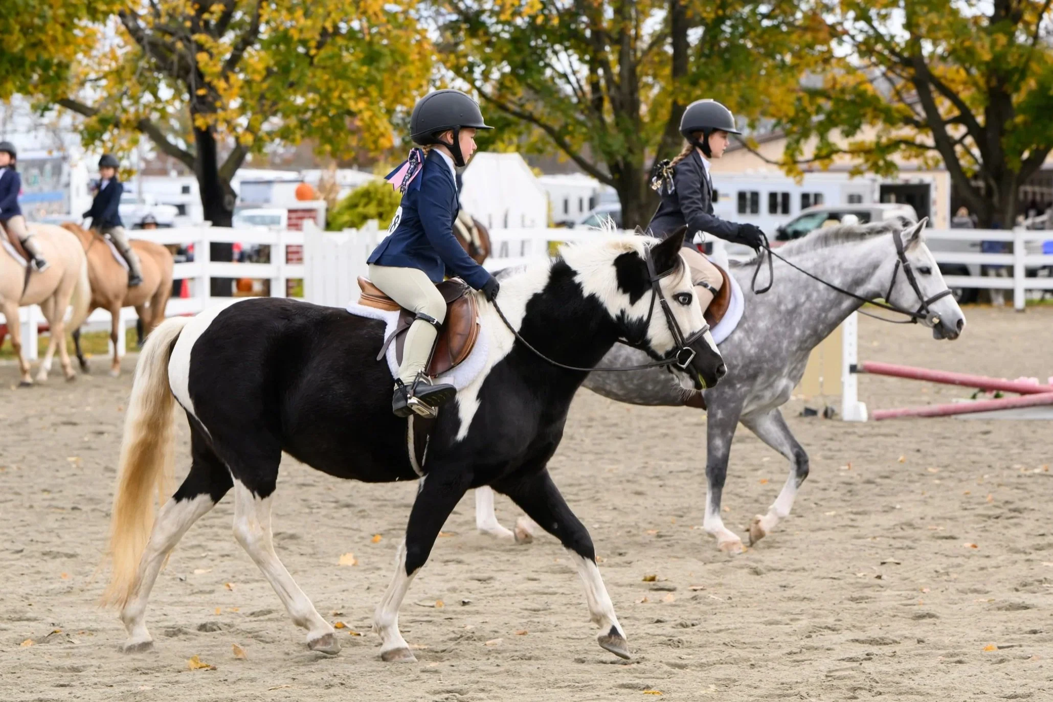 Sussex County Benefit Series (Copy) (Copy)