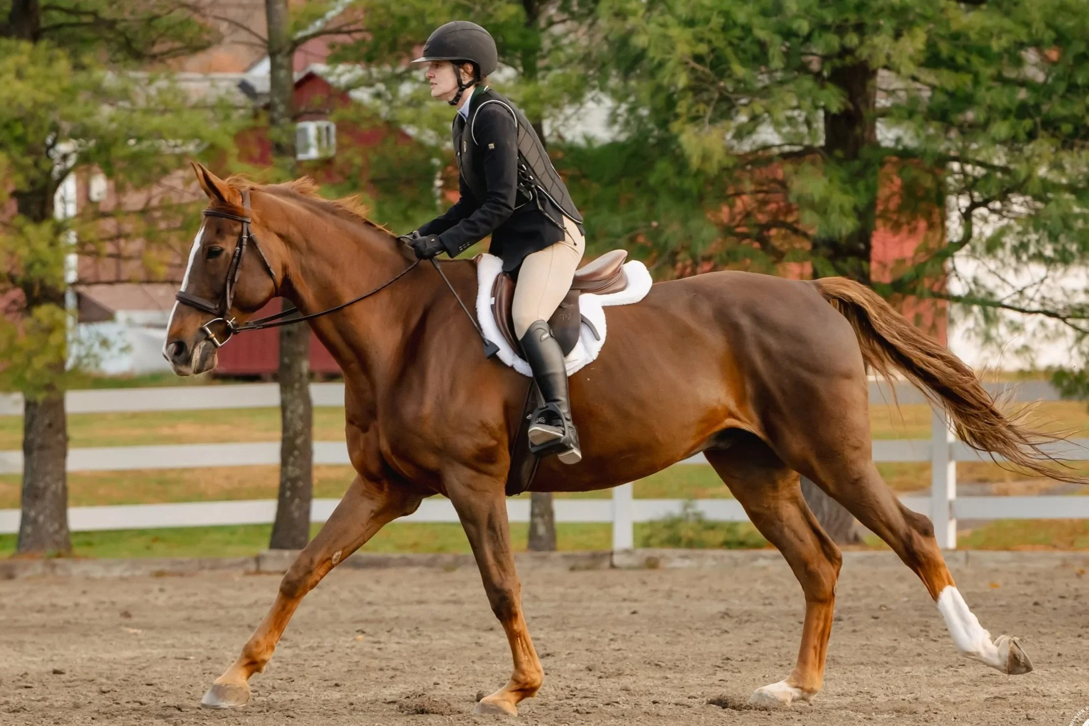 Sussex County Benefit Series (Copy) (Copy)