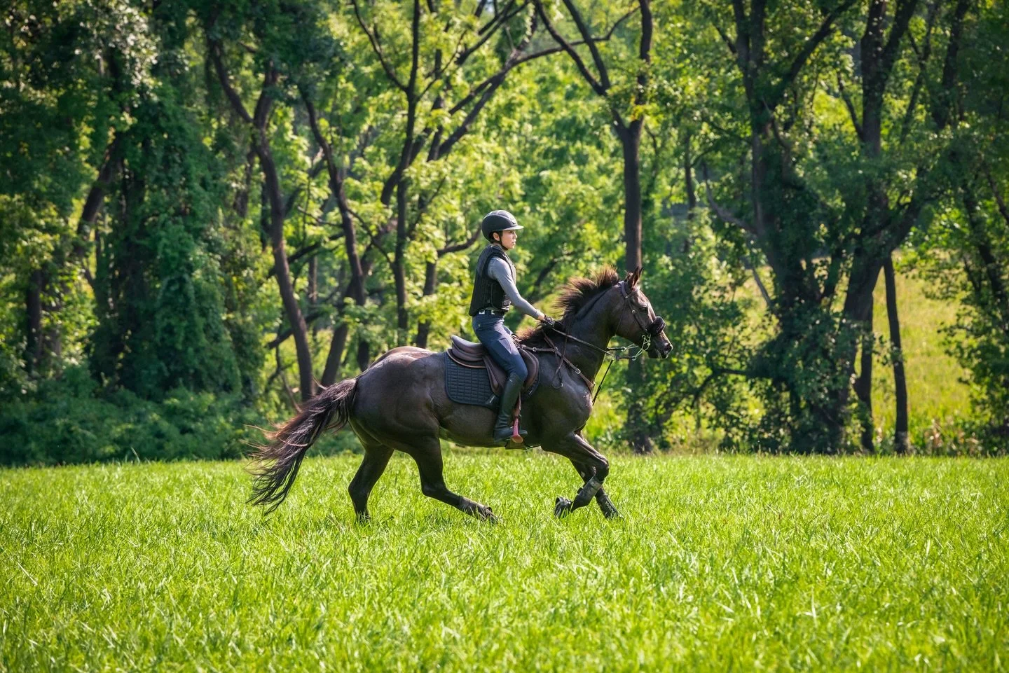 Now booking hunter paces for 2026! 🐴 

This year I&rsquo;m looking to add more hunter paces to my schedule in NY, PA, and NJ. 

If you are currently organizing an event or know of an event interested in hosting a photographer reach out! 📸