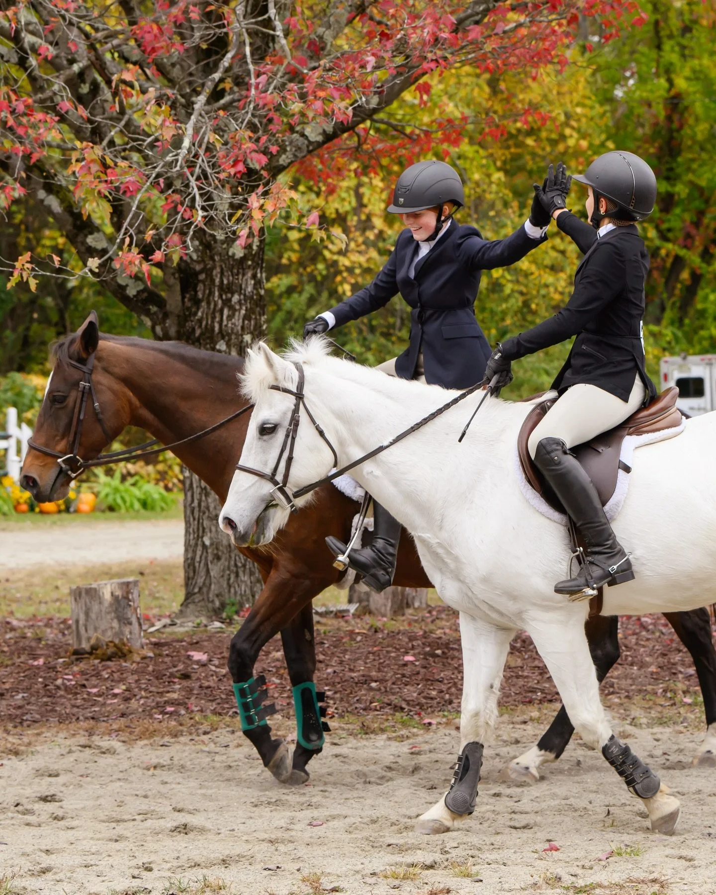 It&rsquo;s almost show season! 🤩

I&rsquo;m excited to be the official photographer again this year at the Smoke Rise Riding Club show series. 🐴 

Stay tuned for the new show series packages I will be offering this year. 📸 

First horse show is Me