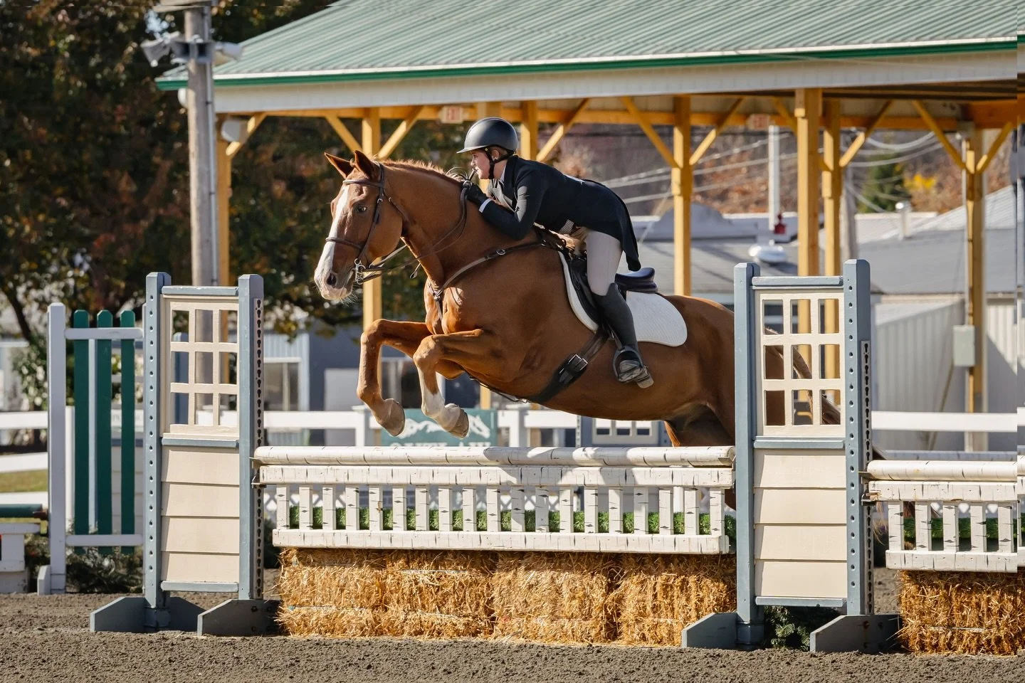Booking is available for The Sussex County Benefit Horse Show this weekend May 9th! 

Sign Ups close on Thursday May 7th at 9pm. Limited availability. 

Direct link to book is in my bio.