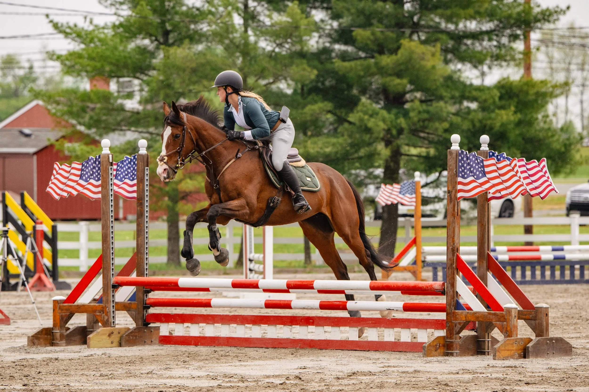 The May 9th Sussex County Benefit Horse Show photos are now available! 🐴 

I took photos of as many riders as I could before the heavy rain in the afternoon. 

Private Event Coverage is available for all Sussex County Benefit Shows if you would like