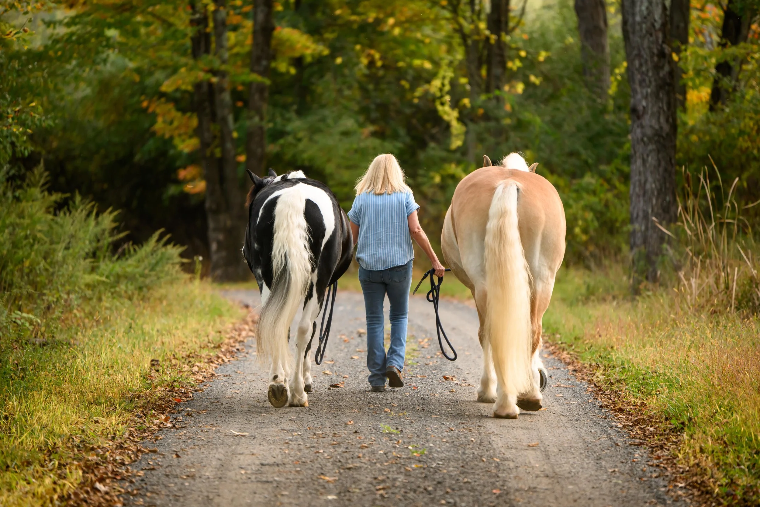 Carol_Mulvaney_2025-46 copy.jpg