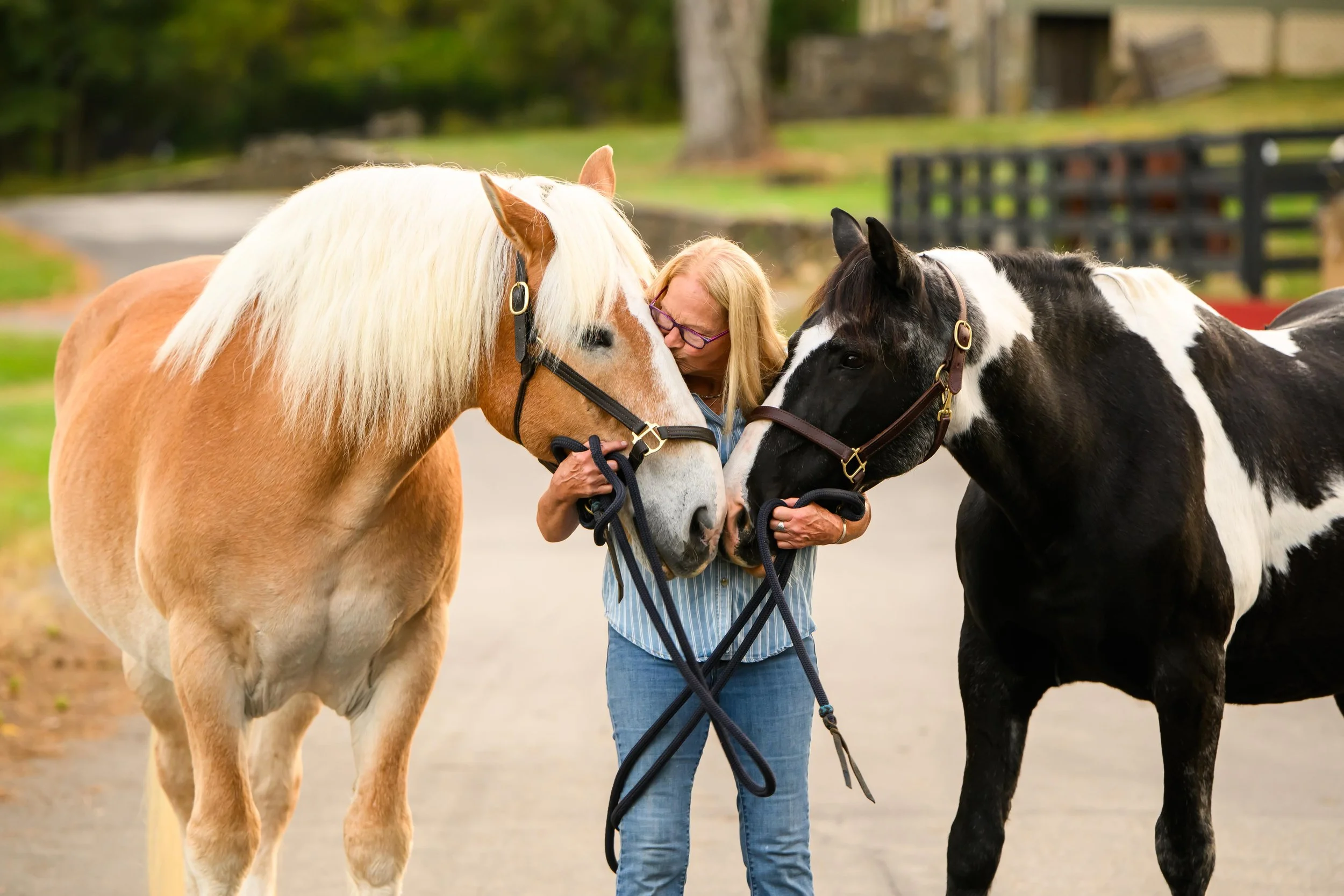 Carol_Mulvaney_2025-51 copy.jpg