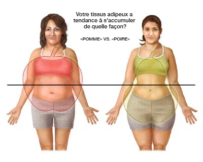 Comment améliorer votre silhouette !